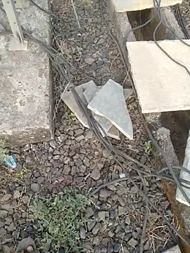 sexyboy 917 online show from April 1, 2026, 2:02 am