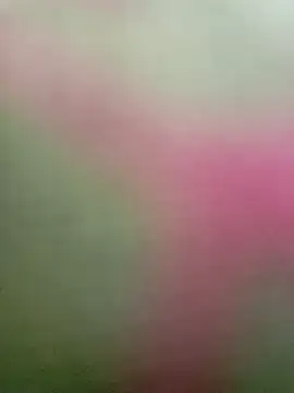 Snapshot of Dariralf chatting on January 16, 2026, 12:42 pm Dariralf online show from January 16, 2026, 12:42 pm