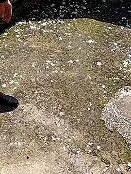 Snapshot of GanaderoMorboso chatting on February 15, 2026, 11:09 am GanaderoMorboso online show from February 15, 2026, 11:09 am