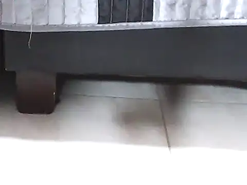 Snapshot of Ellatin15 chatting on February 26, 2026, 8:47 am Ellatin15 online show from February 26, 2026, 8:47 am