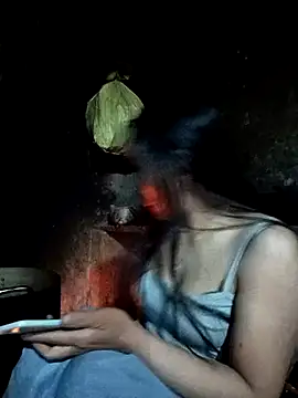 Snapshot of vanvan005 chatting on January 6, 2026, 11:25 am vanvan005 online show from January 6, 2026, 11:25 am