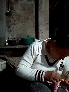 Snapshot of vanvan005 chatting on February 11, 2026, 11:54 am vanvan005 online show from February 11, 2026, 11:54 am