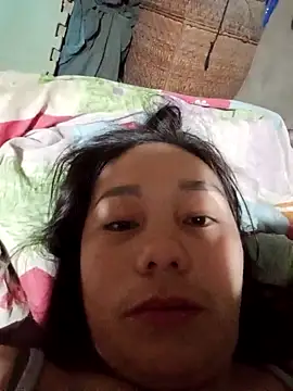 Snapshot of vanvan005 chatting on January 6, 2026, 11:31 pm vanvan005 online show from January 6, 2026, 11:31 pm