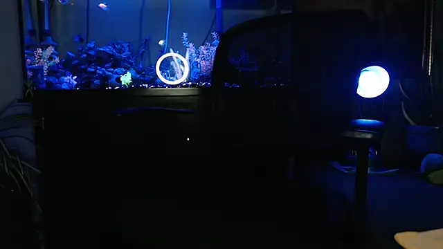 EspanolVato online show from March 31, 2026, 9:11 am