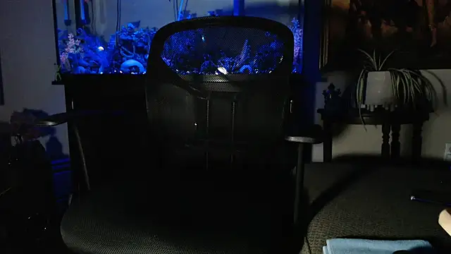 EspanolVato online show from February 7, 2026, 10:45 am