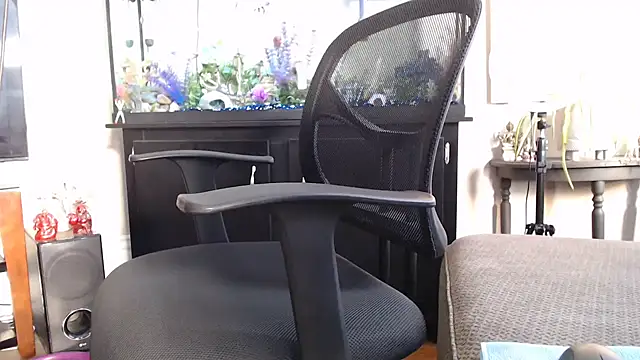 EspanolVato online show from February 10, 2026, 9:25 pm