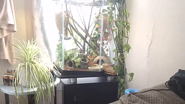 EspanolVato online show from April 15, 2026, 7:58 pm