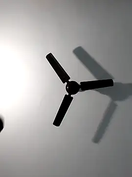 Snapshot of Sonali-6 chatting on February 14, 2026, 4:40 pm Sonali-6 online show from February 14, 2026, 4:40 pm