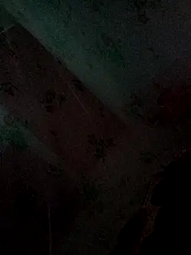 Snapshot of Monisha9876 chatting on January 14, 2026, 4:32 pm Monisha9876 online show from January 14, 2026, 4:32 pm