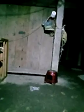 him220 online show from January 31, 2026, 11:25 pm