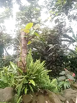 Snapshot of him220 chatting on April 2, 2026, 10:22 am him220 online show from April 2, 2026, 10:22 am