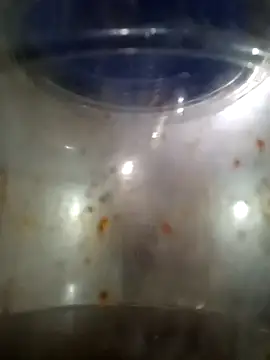 Snapshot of him220 chatting on March 12, 2026, 2:06 am him220 online show from March 12, 2026, 2:06 am