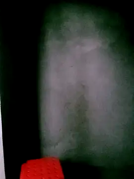 Snapshot of him220 chatting on March 8, 2026, 1:00 am him220 online show from March 8, 2026, 1:00 am