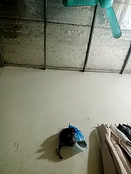 Sana-vn online show from January 15, 2026, 1:47 pm