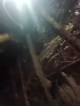 Snapshot of Manvi_hote chatting on January 18, 2026, 4:10 pm Manvi hote online show from January 18, 2026, 4:10 pm