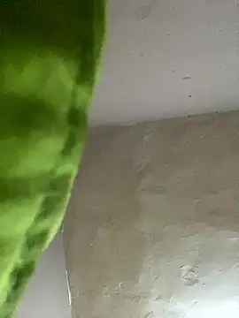 Snapshot of kwandero1234 chatting on January 12, 2026, 7:42 pm kwandero1234 online show from January 12, 2026, 7:42 pm