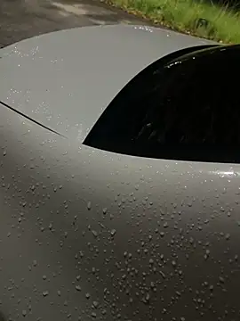 Snapshot of flavia337 chatting on February 24, 2026, 12:44 am flavia337 online show from February 24, 2026, 12:44 am