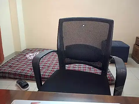 Secret Sarikaa online show from February 19, 2026, 8:33 am