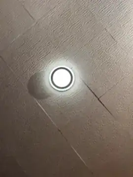 Evelin199 online show from March 9, 2026, 3:59 pm