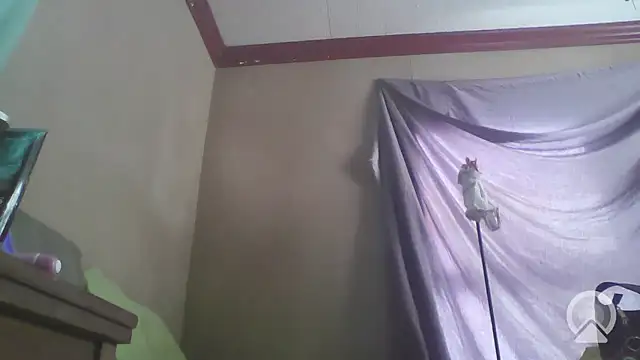 jojosbizarrelyf online show from January 9, 2026, 3:30 pm