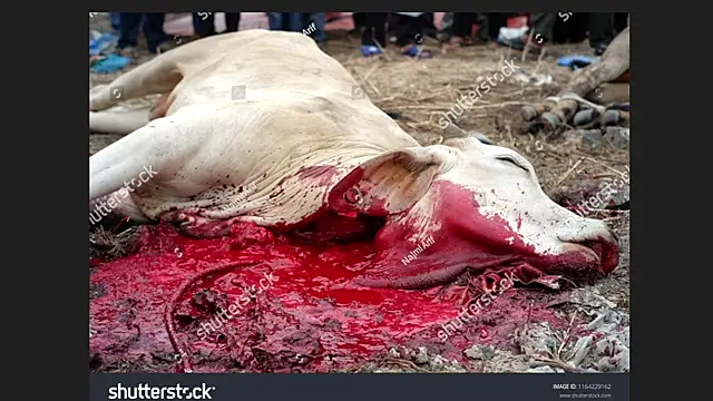 Snapshot of Clima_muse chatting on April 12, 2026, 1:42 am Clima muse online show from April 12, 2026, 1:42 am