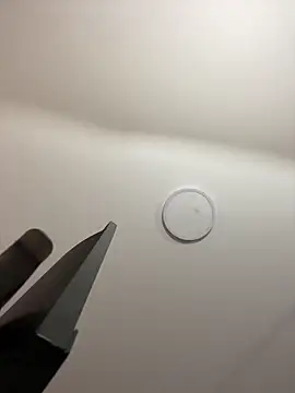 Snapshot of Michelle_ec chatting on March 7, 2026, 3:06 pm Michelle ec online show from March 7, 2026, 3:06 pm