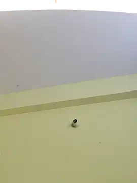 Snapshot of trinasa chatting on April 8, 2026, 7:48 pm trinasa online show from April 8, 2026, 7:48 pm