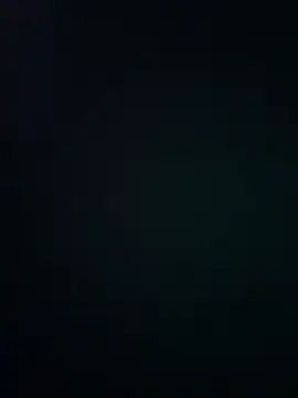 wy2026 online show from March 12, 2026, 7:29 pm