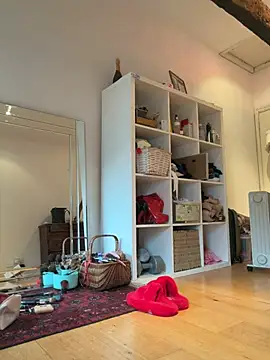 Snapshot of AliceDx chatting on February 23, 2026, 1:23 pm AliceDx online show from February 23, 2026, 1:23 pm