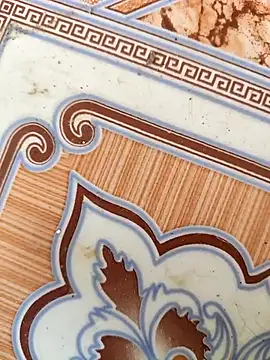 Snapshot of Billa2x chatting on January 8, 2026, 3:23 am Billa2x online show from January 8, 2026, 3:23 am