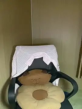 Snapshot of An-An19 chatting on March 13, 2026, 11:43 pm An-An19 online show from March 13, 2026, 11:43 pm