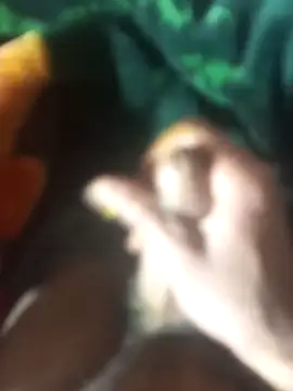 molzaba22cm online show from March 14, 2026, 3:01 am