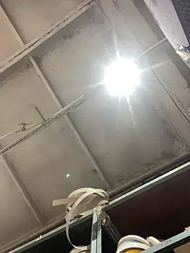 Dildogang online show from February 26, 2026, 3:50 am