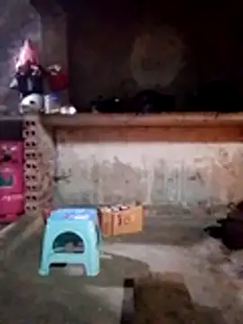 Snapshot of cdyyds-69 chatting on January 15, 2026, 11:08 pm cdyyds-69 online show from January 15, 2026, 11:08 pm