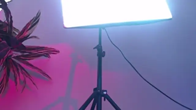 KimiNaru online show from March 3, 2026, 4:25 pm