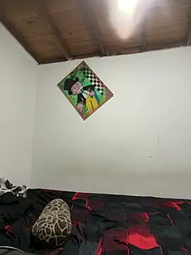 Snapshot of ehc1312 chatting on January 10, 2026, 9:04 am ehc1312 online show from January 10, 2026, 9:04 am