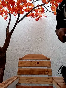 Snapshot of Dante_Knox chatting on February 15, 2026, 11:53 am Dante Knox online show from February 15, 2026, 11:53 am