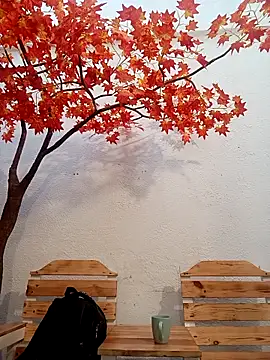 Dante Knox online show from April 17, 2026, 11:24 am