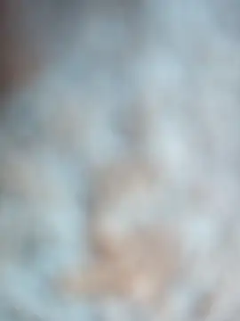 Snapshot of talytah chatting on February 19, 2026, 9:28 am talytah online show from February 19, 2026, 9:28 am