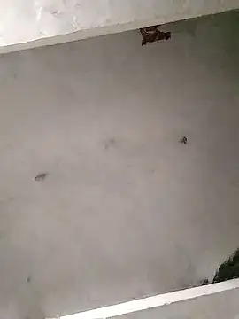 Snapshot of Mafiya0102 chatting on January 16, 2026, 5:50 pm Mafiya0102 online show from January 16, 2026, 5:50 pm