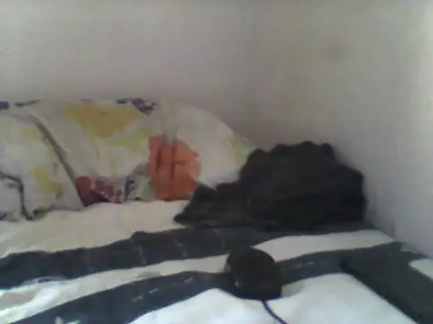 Snapshot of handsomeguy02 chatting on April 14, 2026, 2:44 pm handsomeguy02 online show from April 14, 2026, 2:44 pm