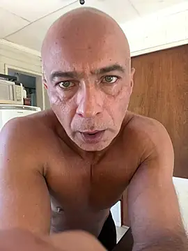 dogfrota online show from March 19, 2026, 3:34 pm