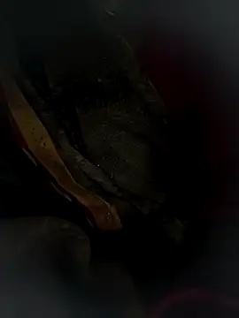 Snapshot of Hot_bh64 chatting on March 24, 2026, 3:56 pm Hot bh64 online show from March 24, 2026, 3:56 pm