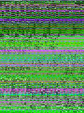 Charlotte-ee online show from March 14, 2026, 5:02 am