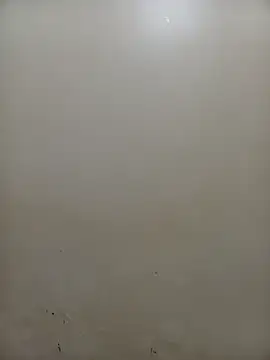 PatriciaVen online show from February 4, 2026, 5:02 am