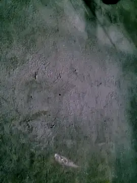 Snapshot of Diana-02 chatting on February 15, 2026, 8:13 am Diana-02 online show from February 15, 2026, 8:13 am