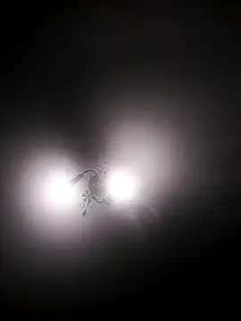 Koshova1836 online show from February 22, 2026, 8:54 pm