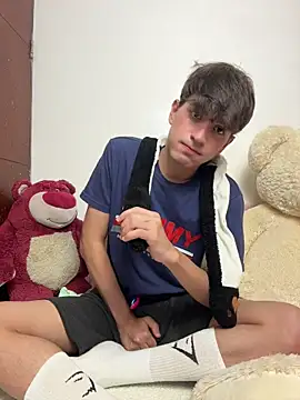 Snapshot of Naim_TheKing chatting on February 17, 2026, 6:33 am Naim TheKing online show from February 17, 2026, 6:33 am