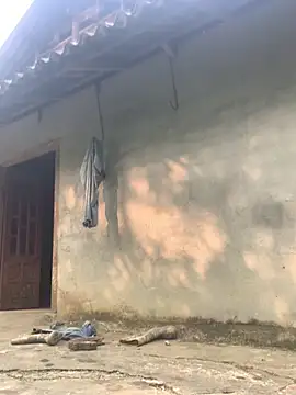 patry33 online show from April 14, 2026, 1:32 am