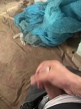 dragon ndragos online show from February 3, 2026, 11:37 am